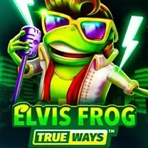 Senha De Login Do Viggoslots